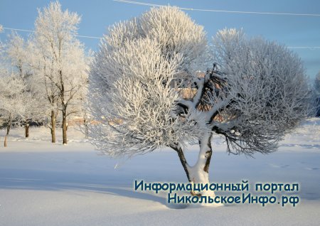 Виды города Никольское часть 2